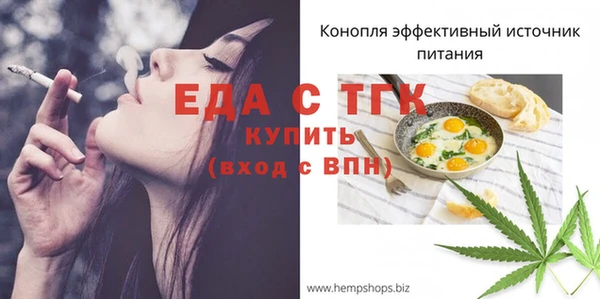 соль ск Каменка