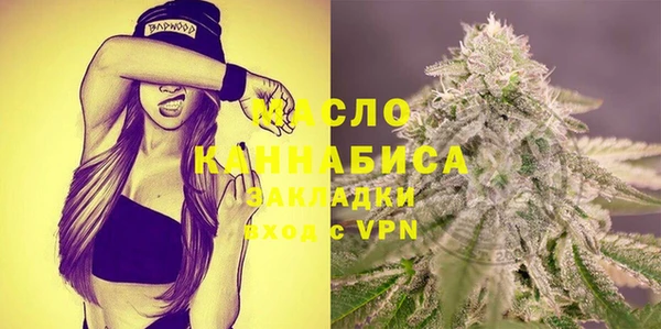 соль ск Каменка