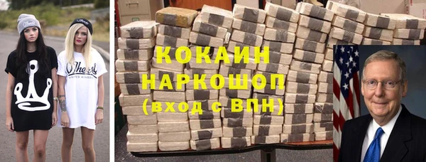 соль ск Каменка
