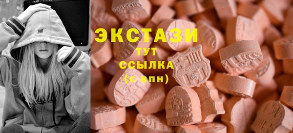 соль ск Каменка