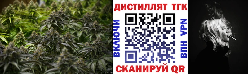 Купить  Березники  ТГК гашишное масло 
